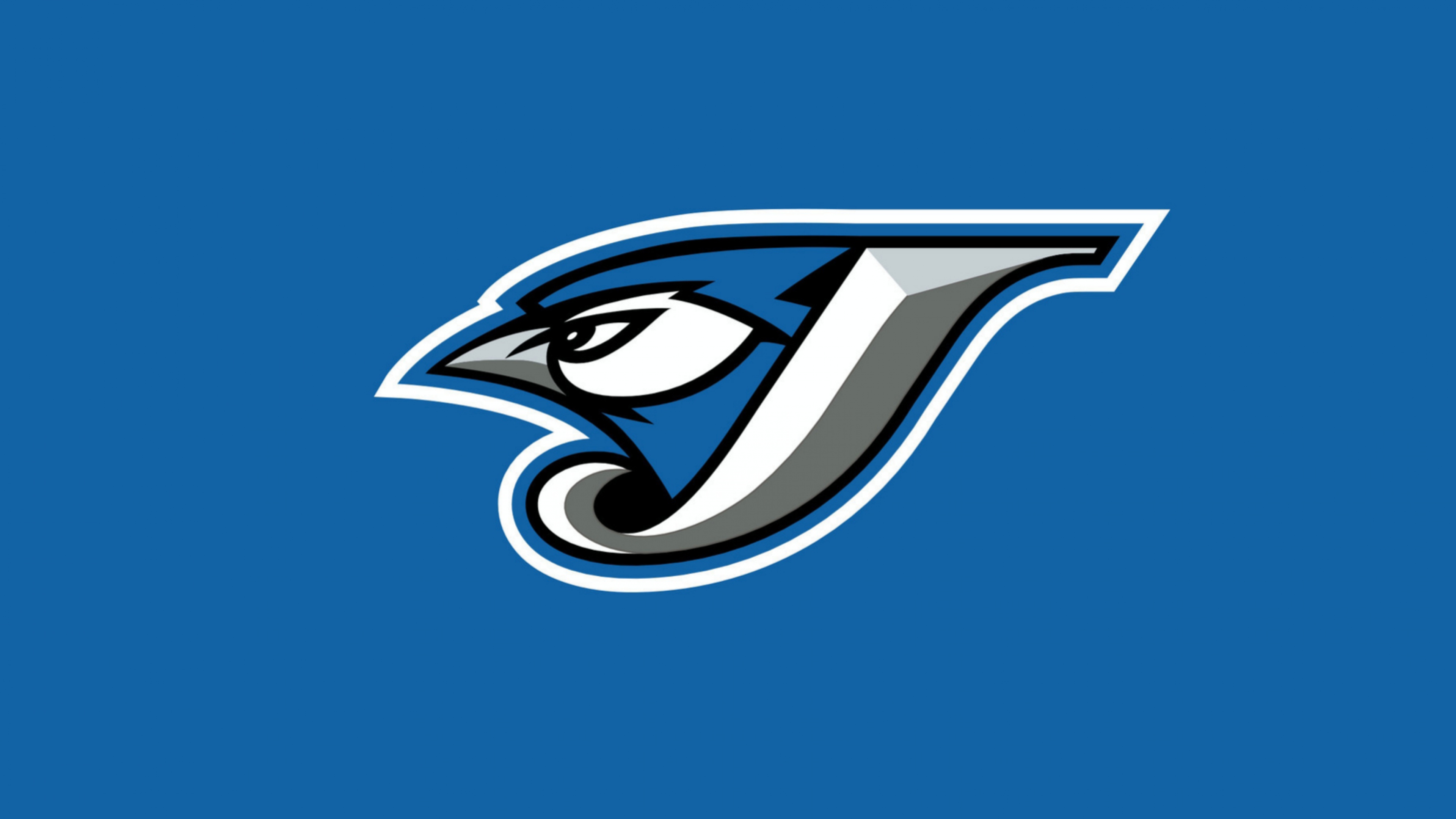 Blue Jay Wallpapers