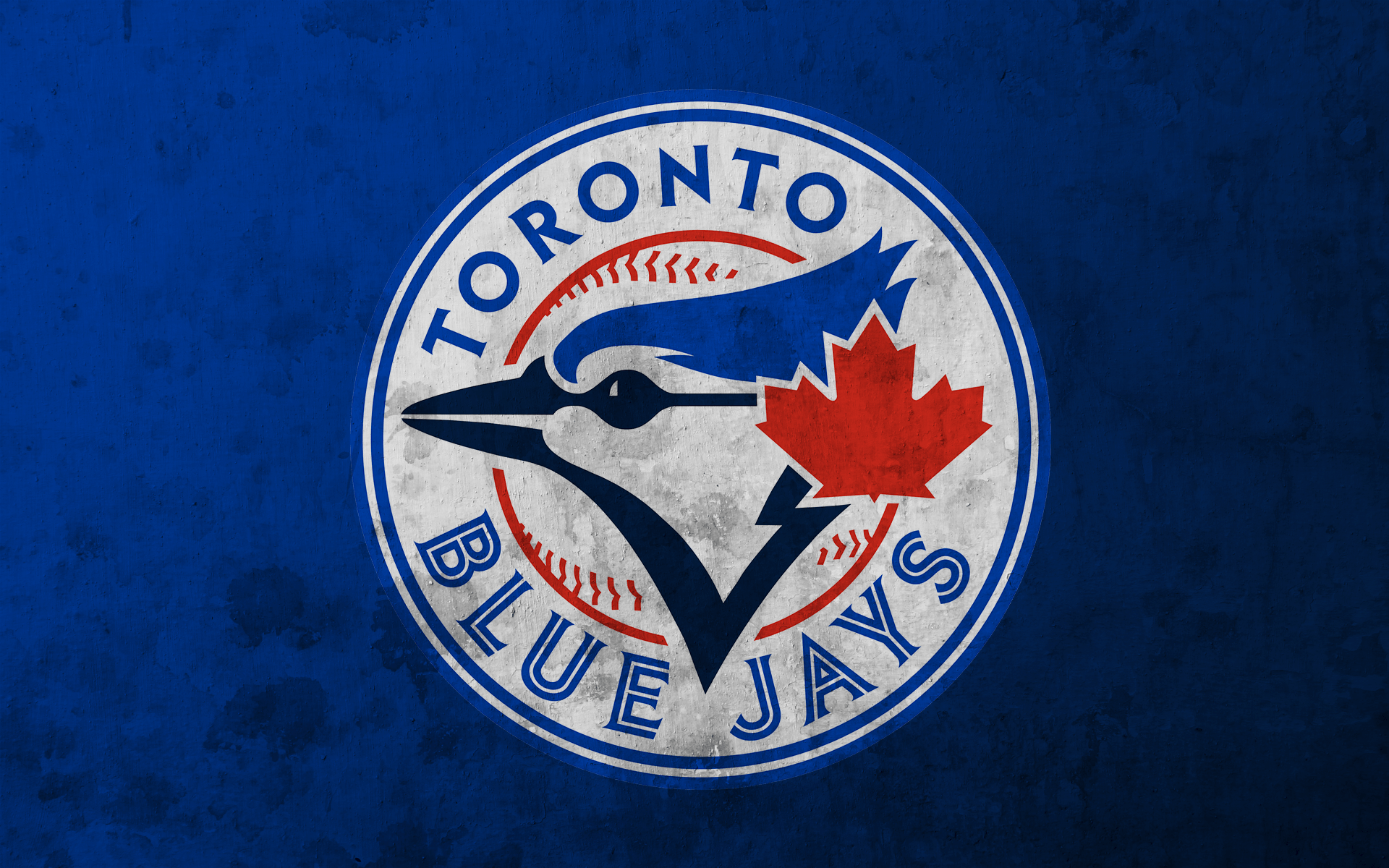 Blue Jay Wallpapers