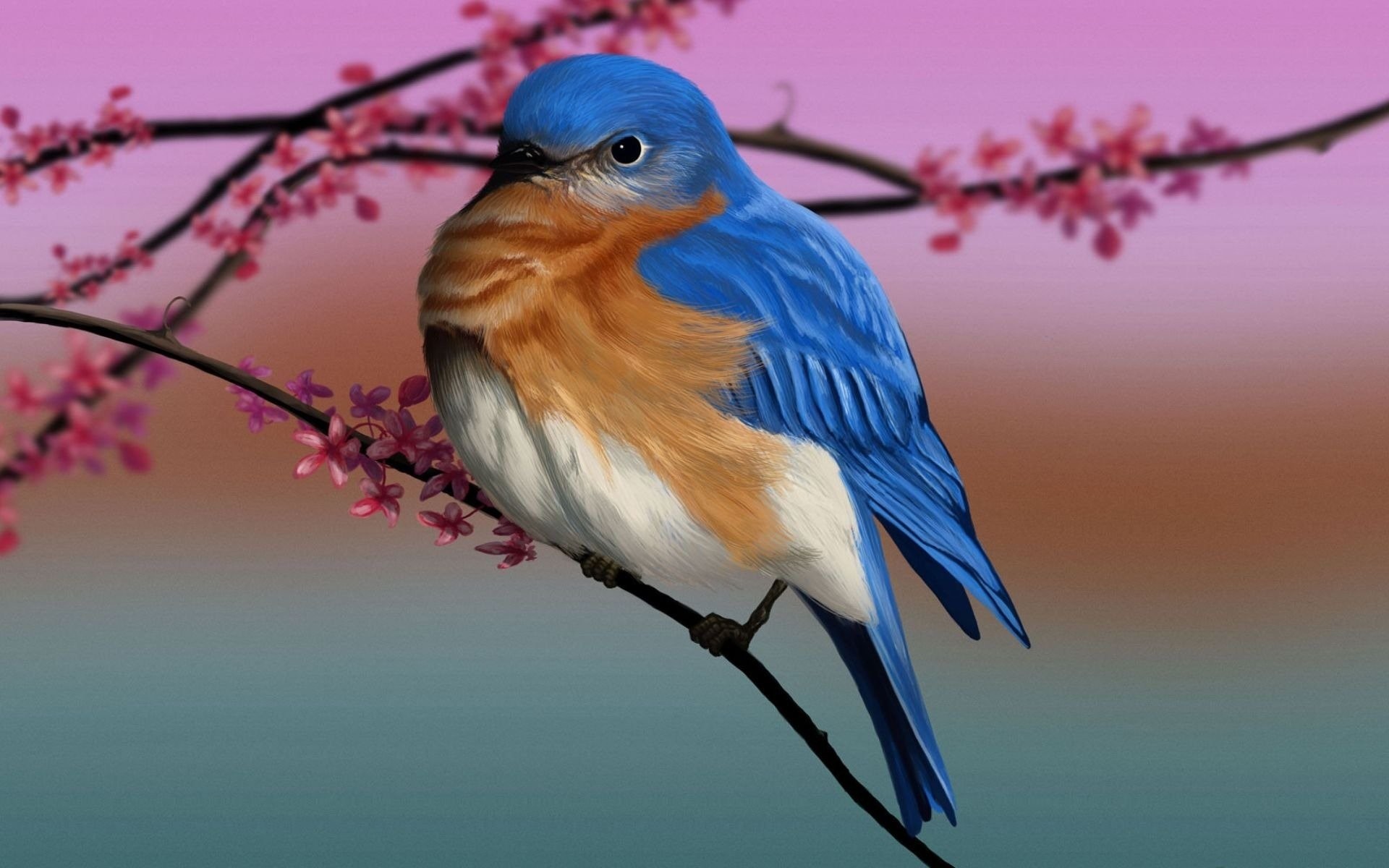 Bluebird Wallpapers