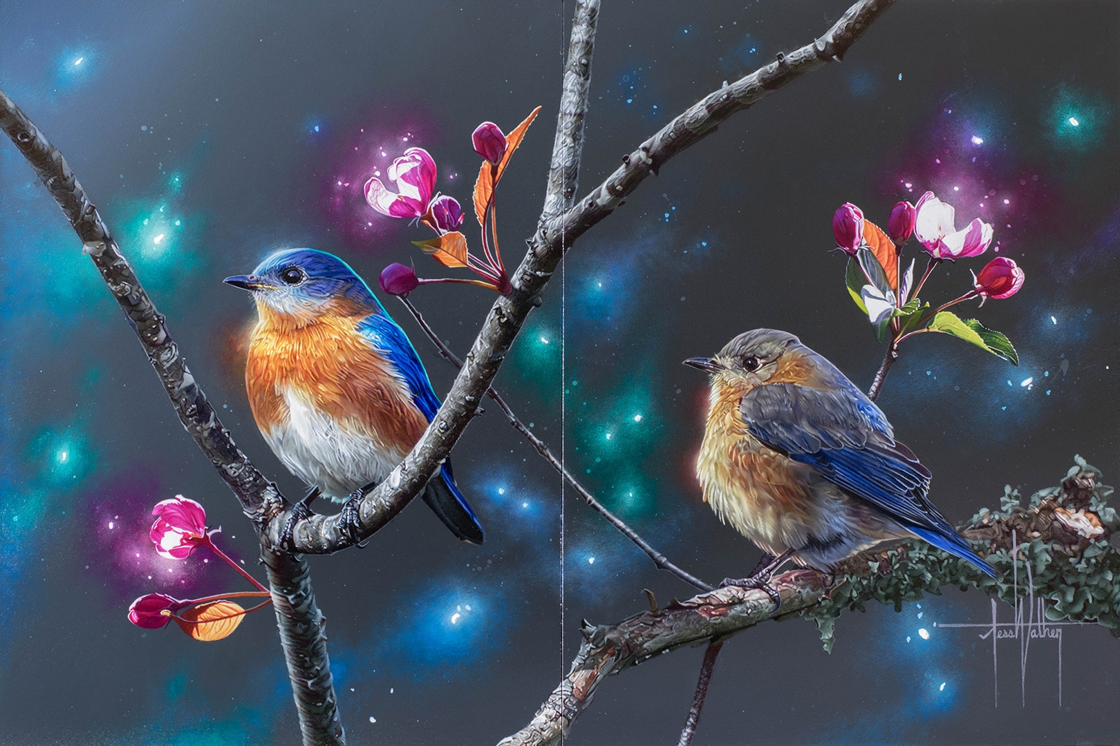 Bluebird Wallpapers