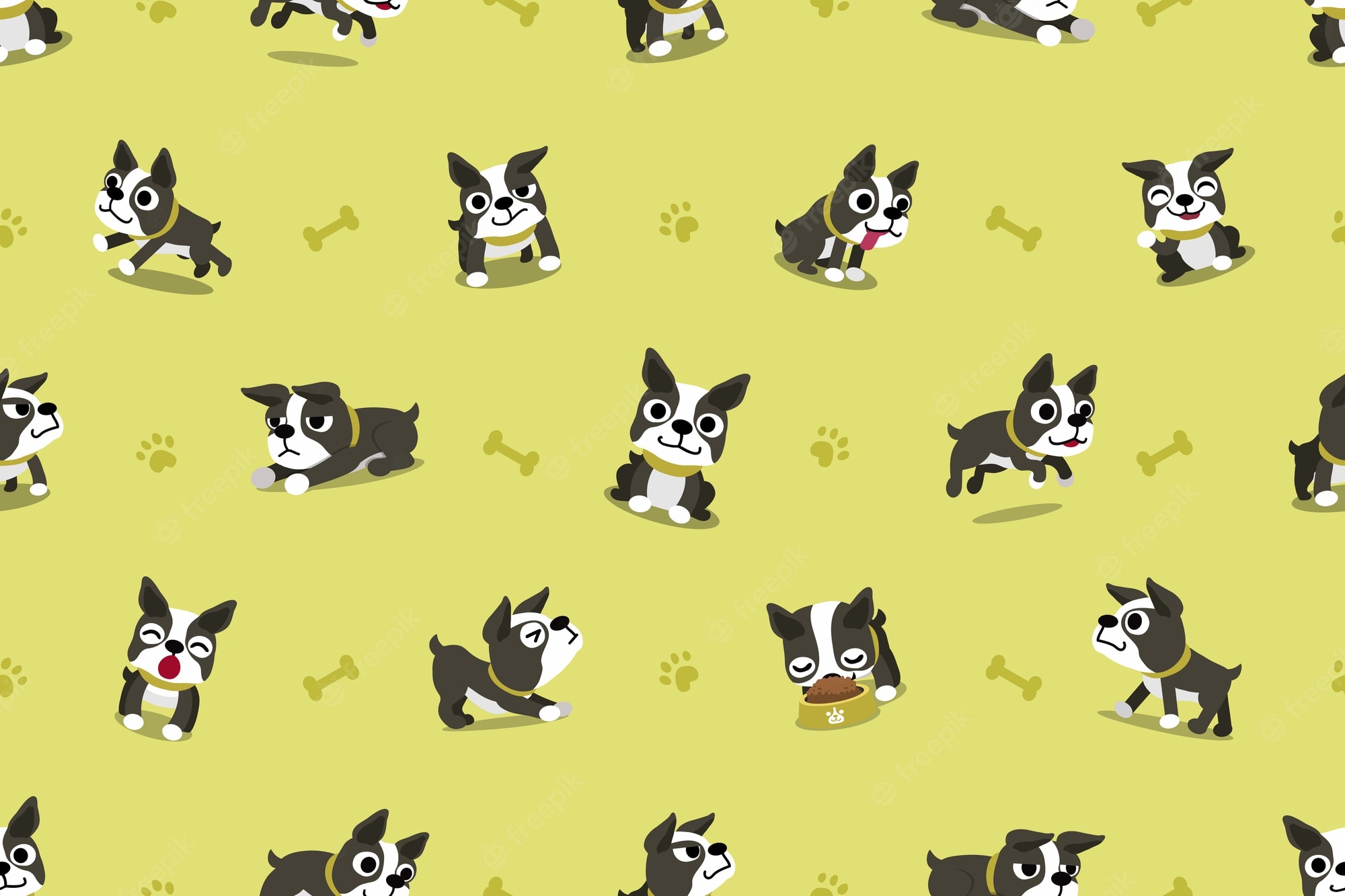 Boston Terrier Wallpapers