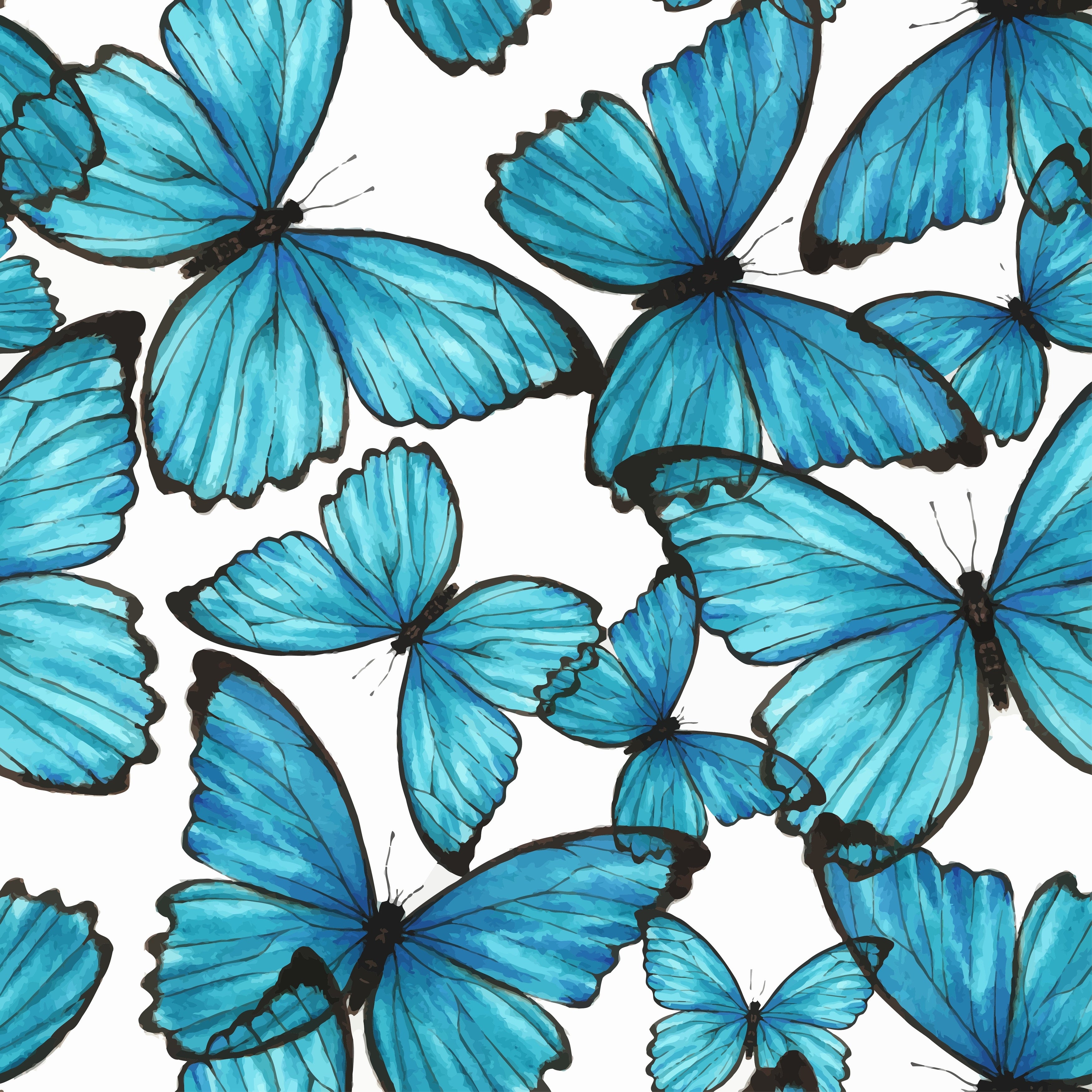 Butterflies Wallpapers