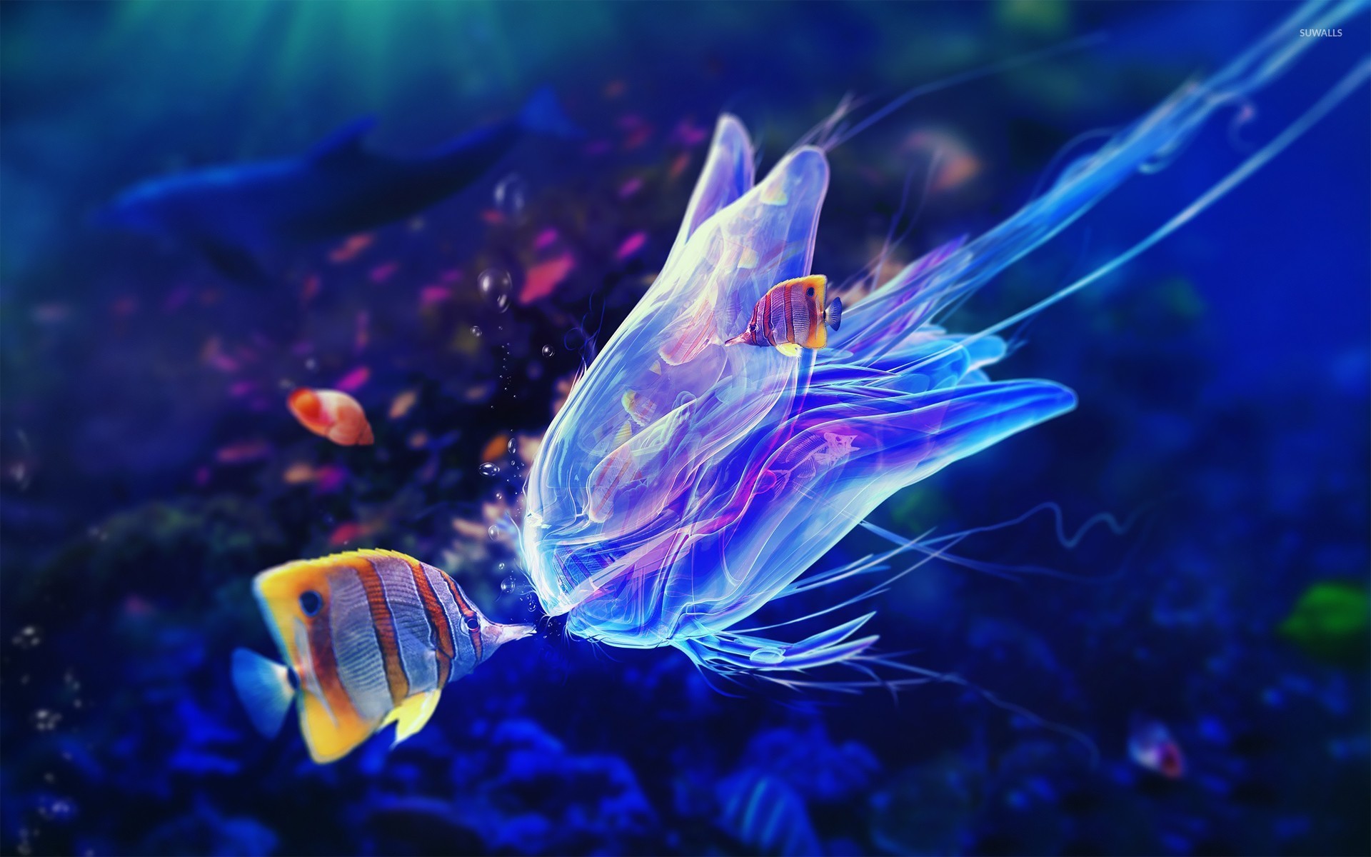 Butterflyfish Wallpapers