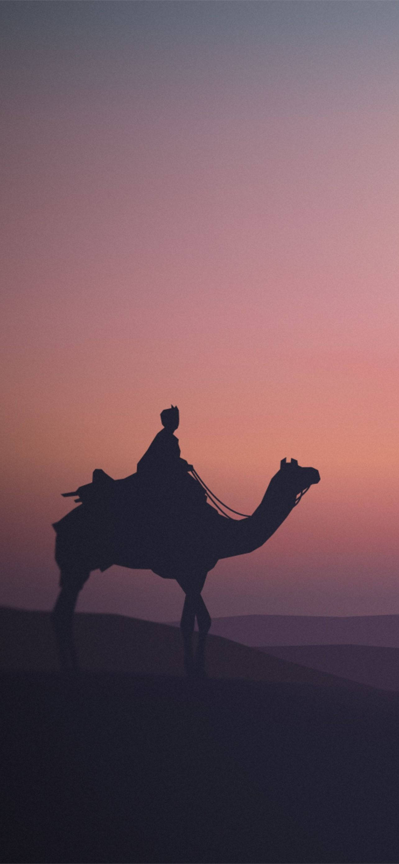 Camels Wallpapers