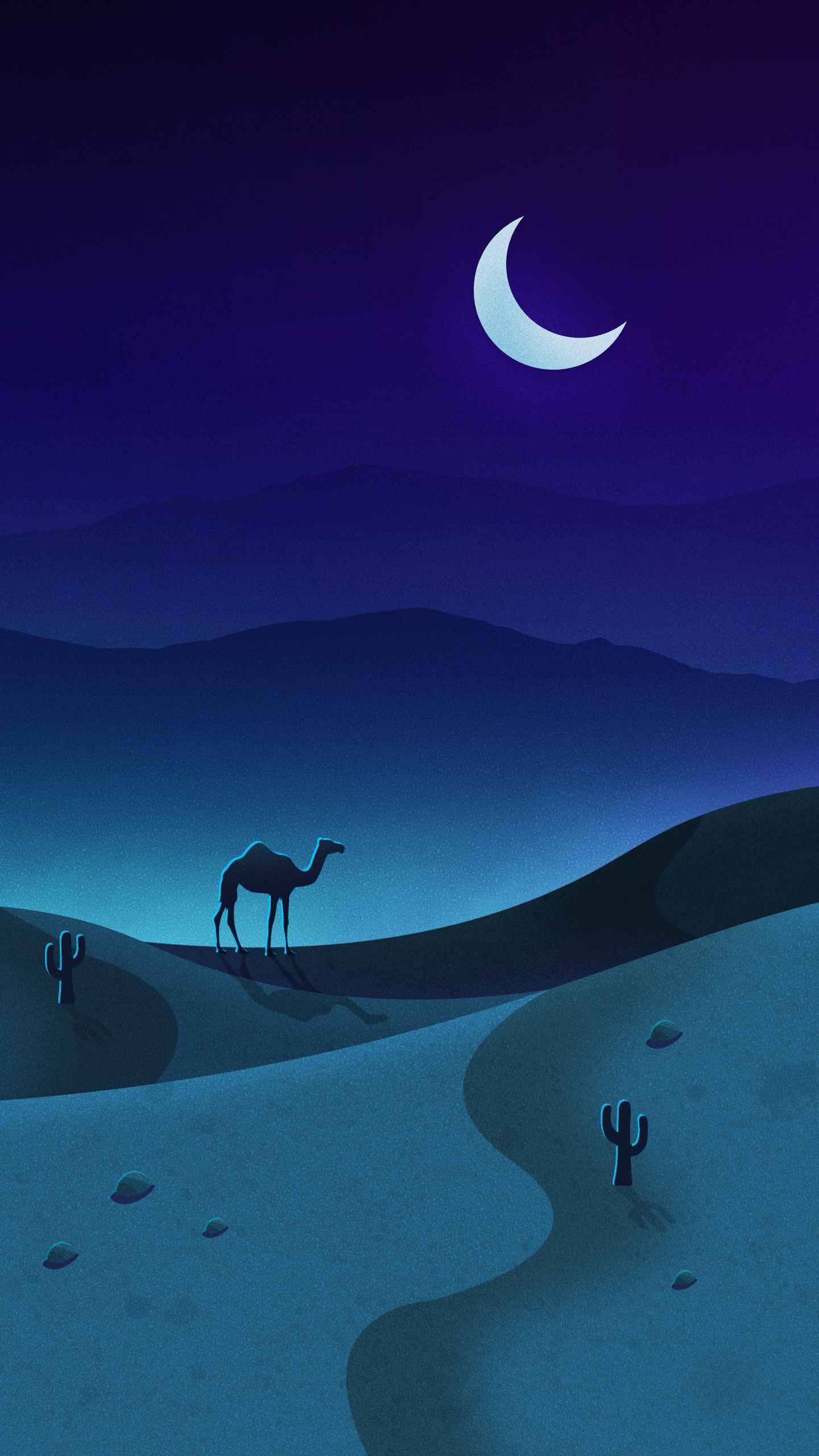 Camels Wallpapers