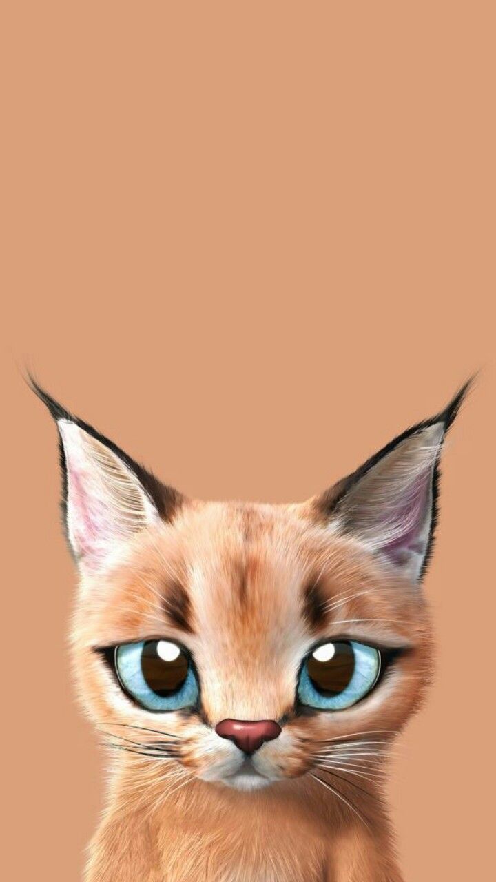 Caracal Wallpapers