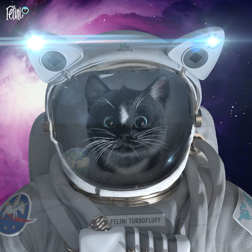 Cat Astronaut Wallpapers