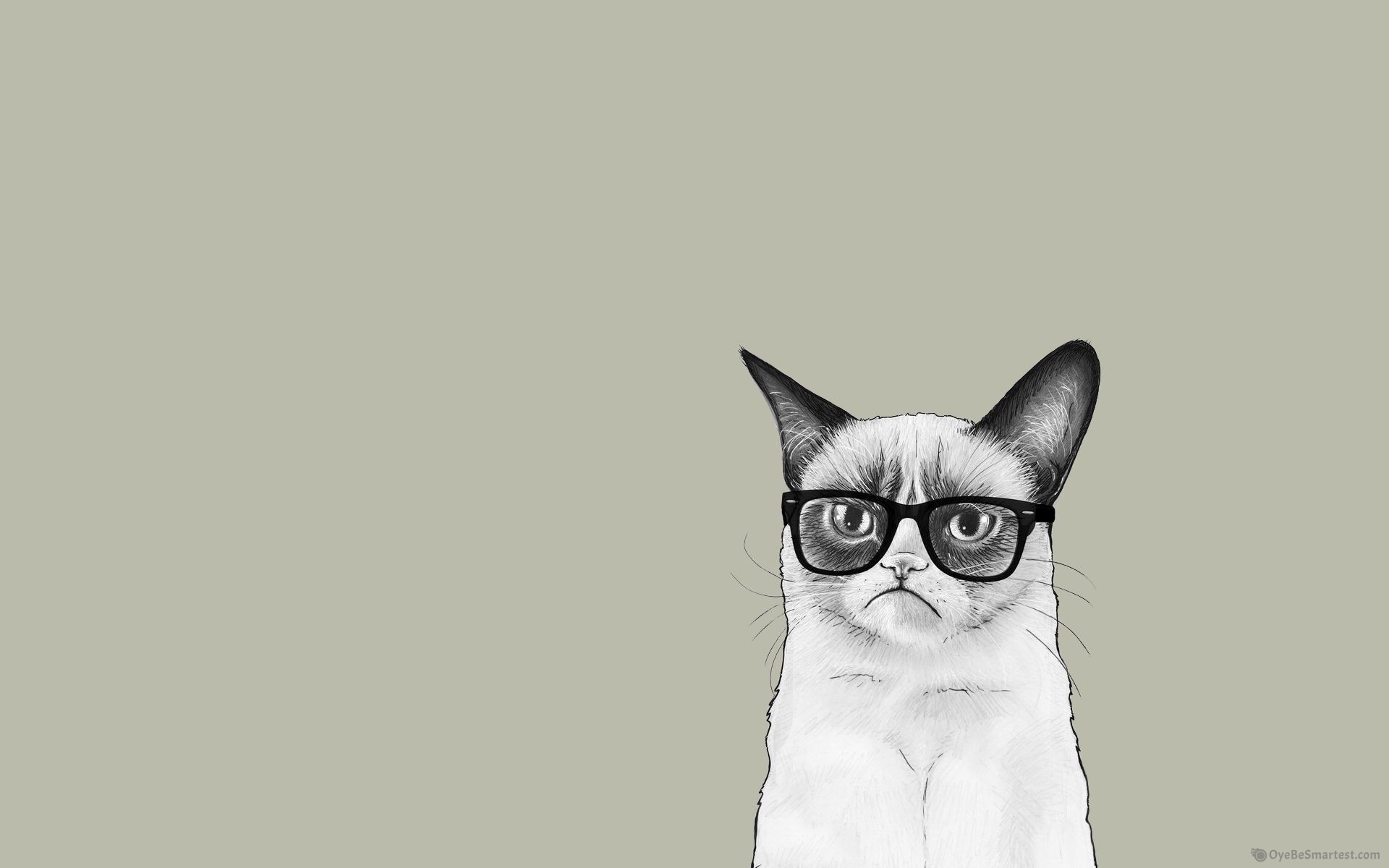 Cat Cartoon Wallpapers