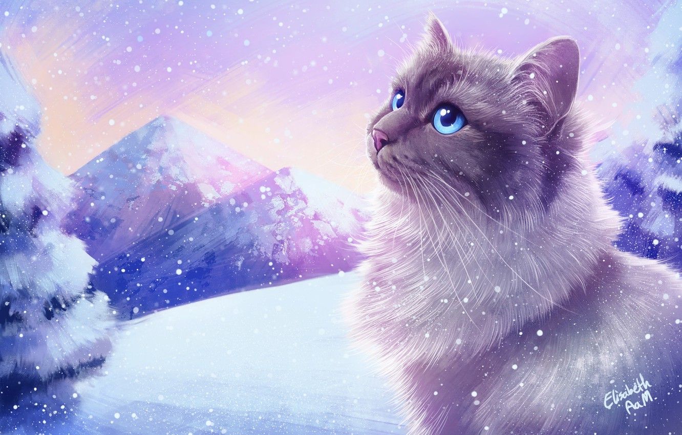 Cat In Snow Desktop Wallpapers