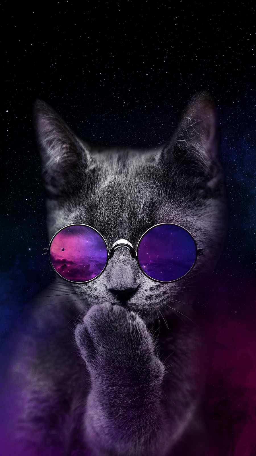 Cat Iphone Wallpapers