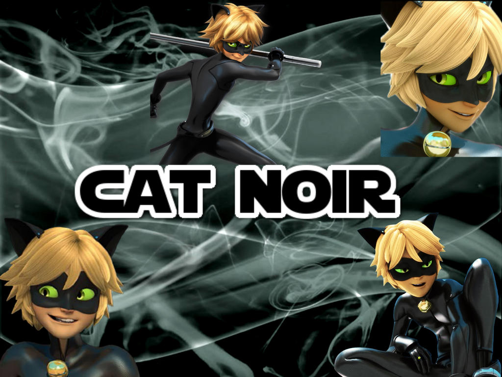 Cat Noir Wallpapers