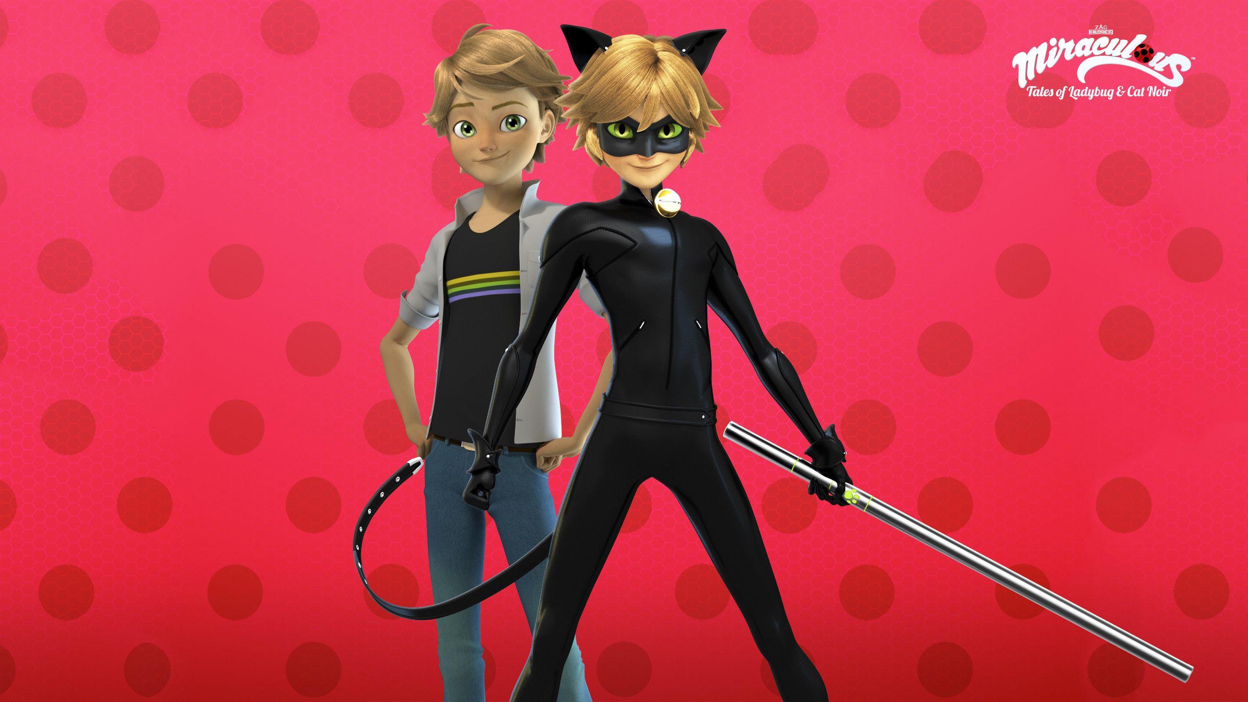 Cat Noir Wallpapers