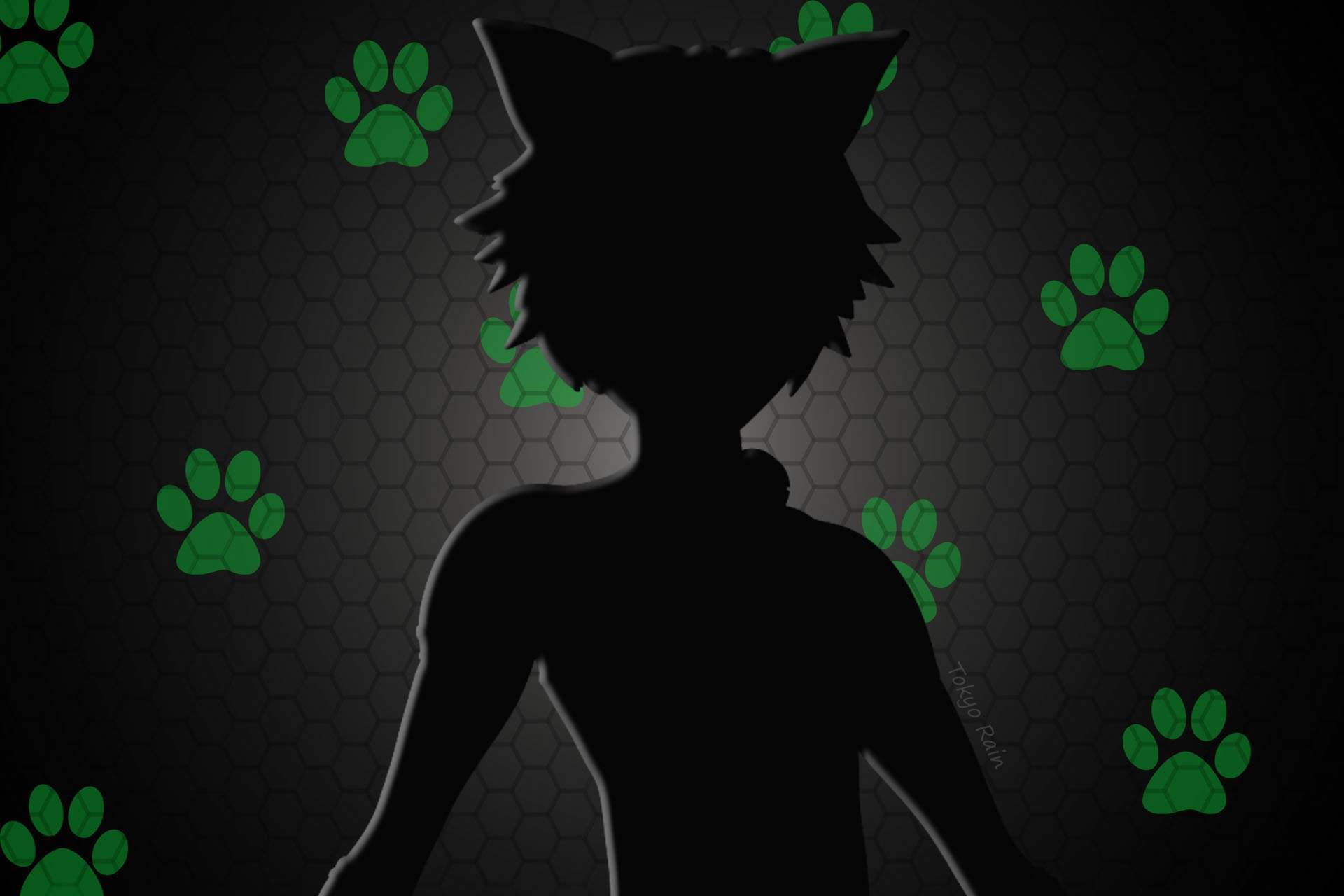 Cat Noir Wallpapers