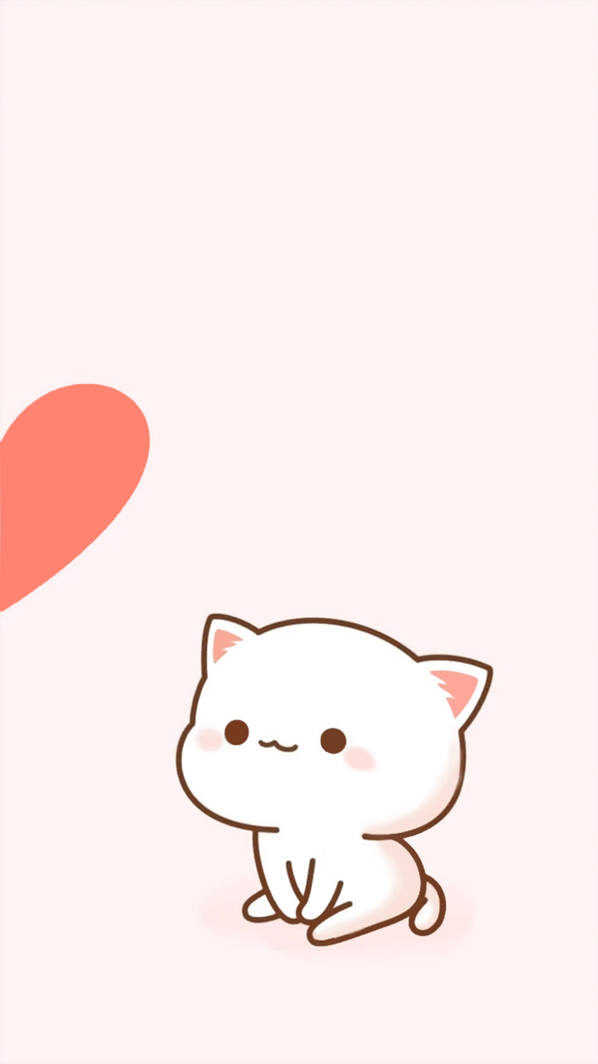 Cat Pfp Cute Wallpapers