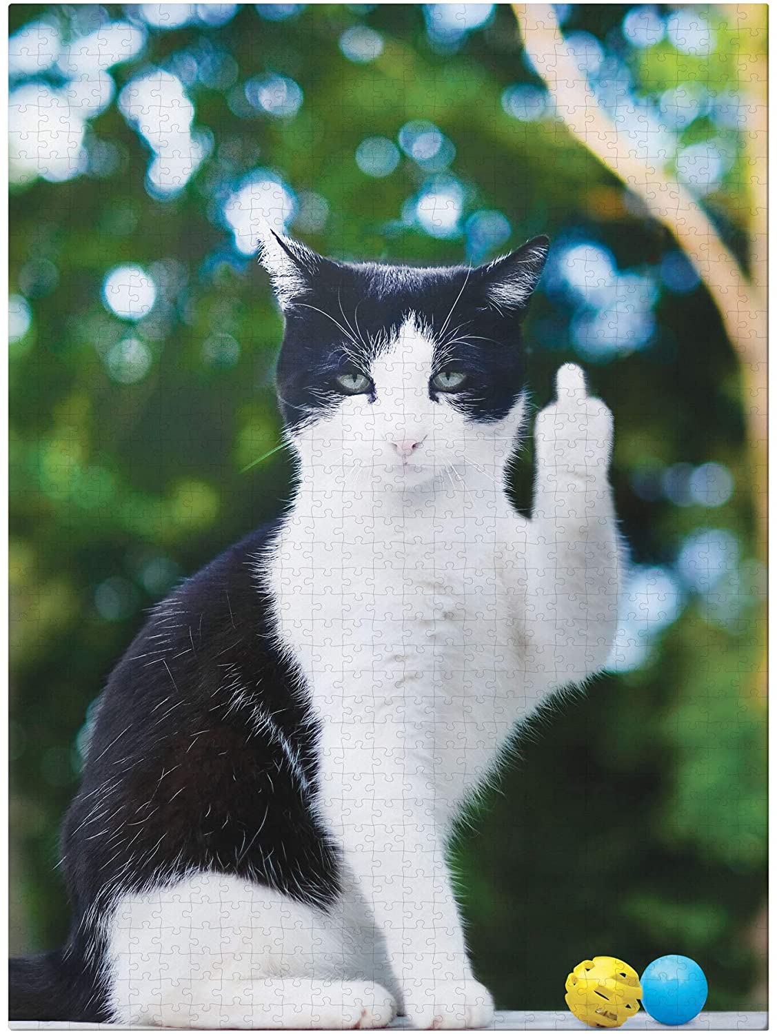 Cat Showing Middle Finger Wallpapers