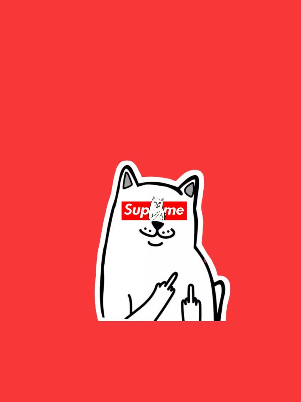 Cat Showing Middle Finger Wallpapers