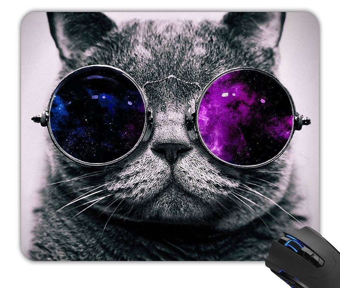 Cat With Glasses Hd Wallpapers