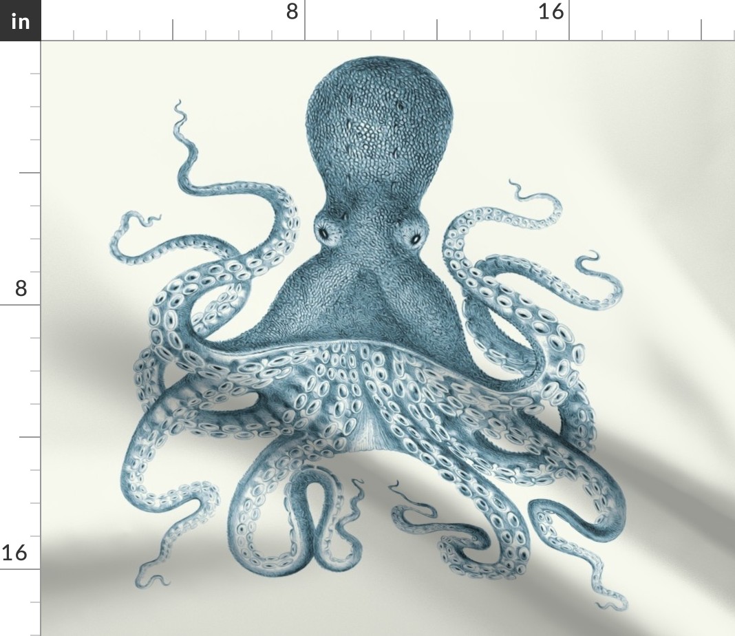 Cephalopod Wallpapers