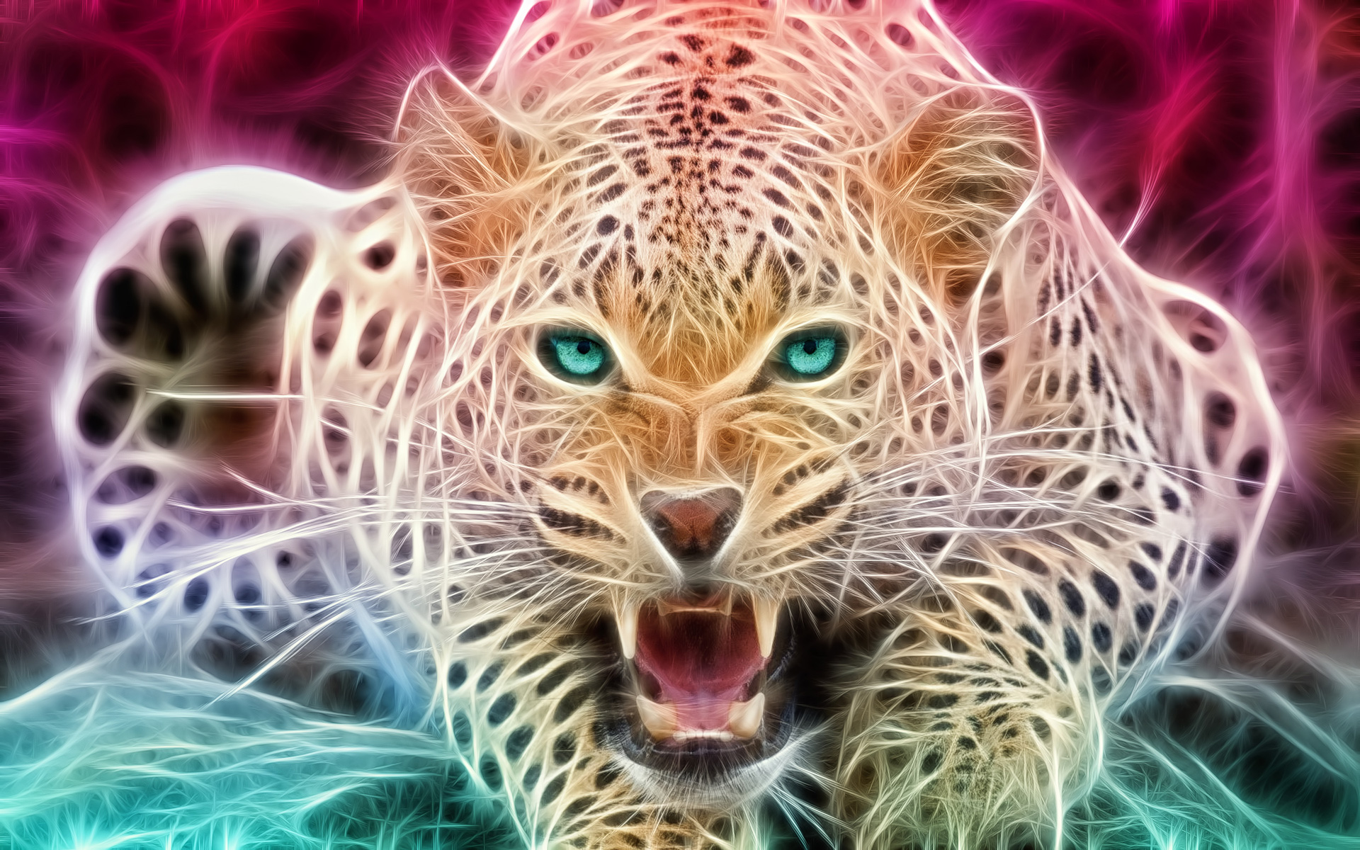 Cheetah Wallpapers