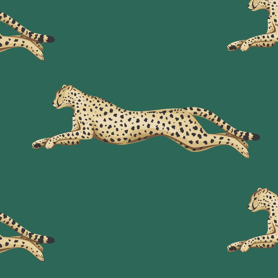 Cheetah Wallpapers