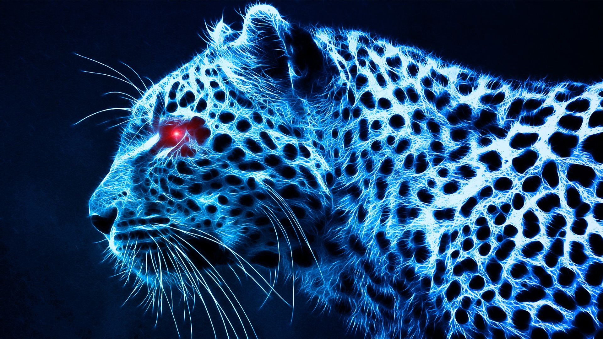 Cheetah Wallpapers