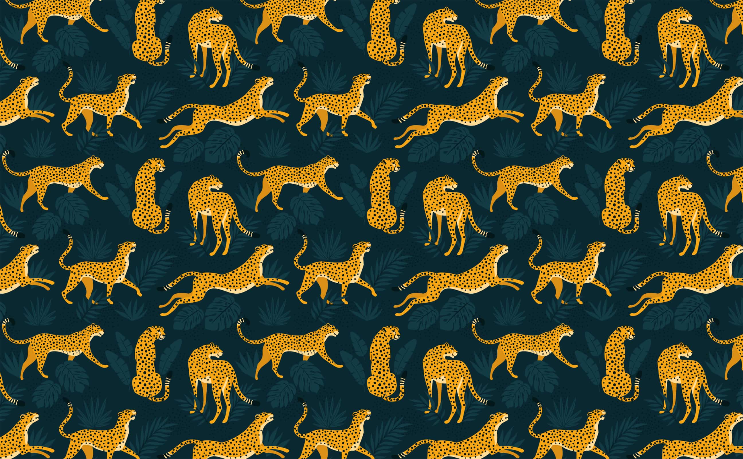 Cheetah Wallpapers