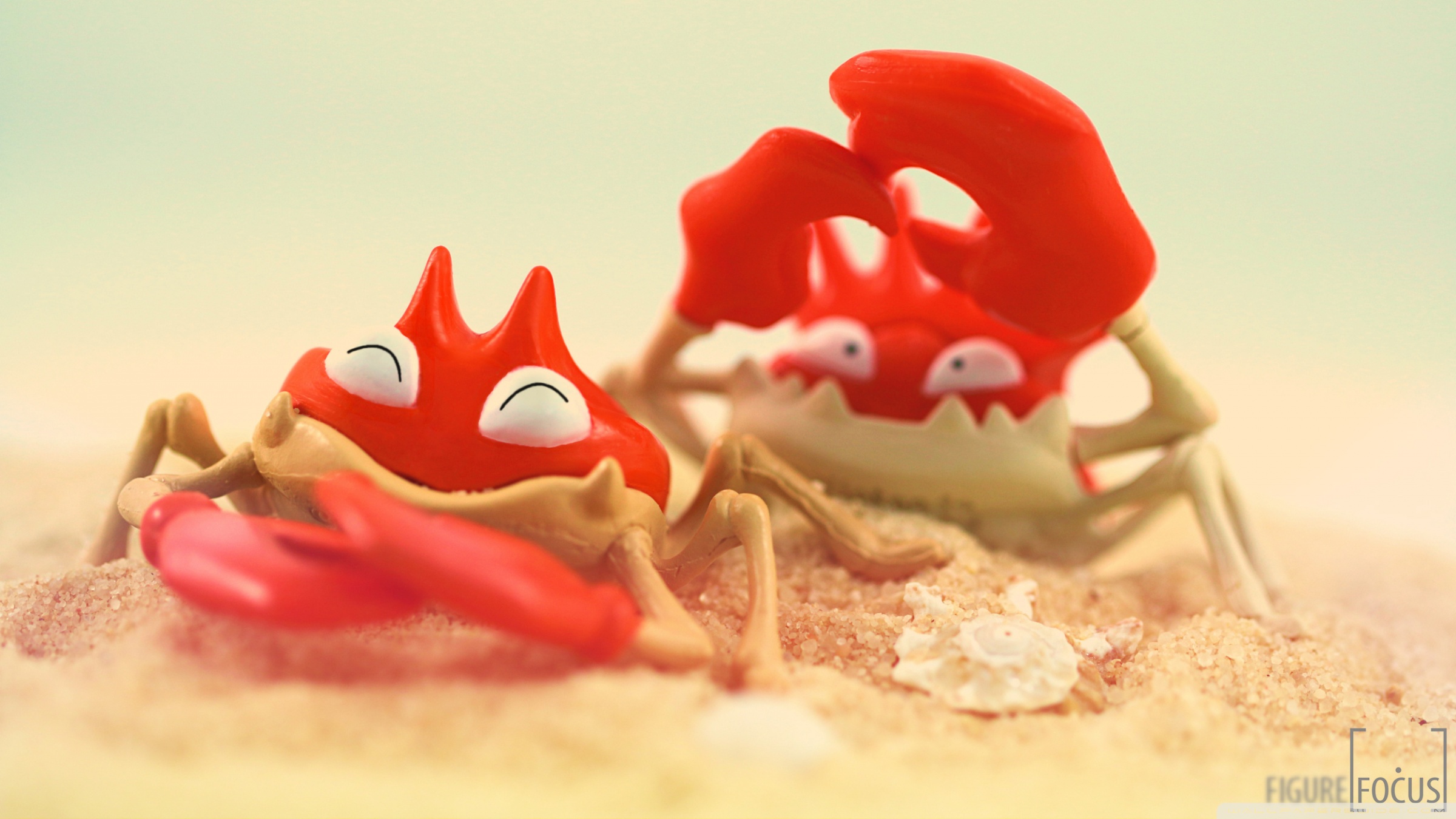 Crab Wallpapers