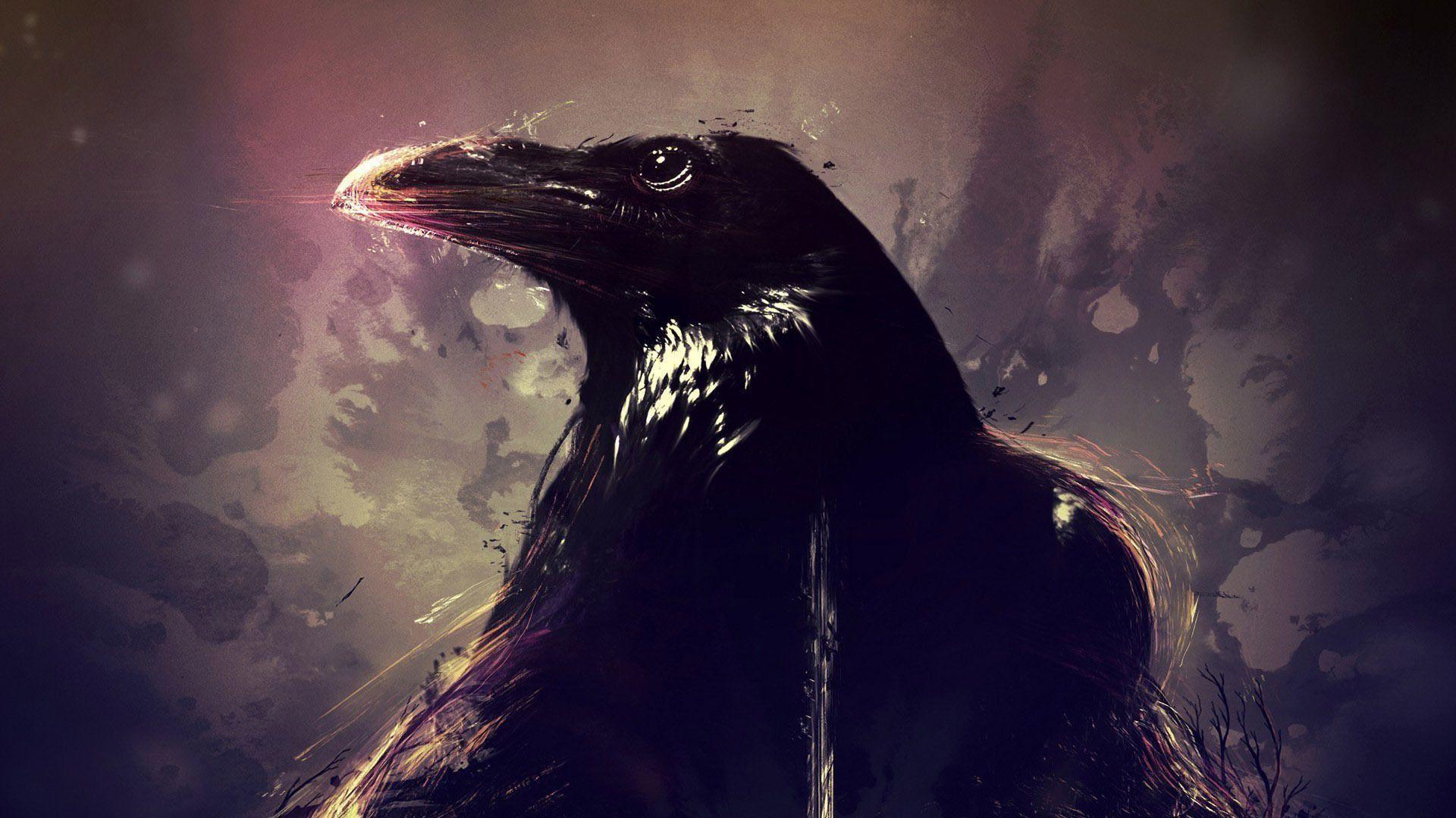Crow Wallpapers