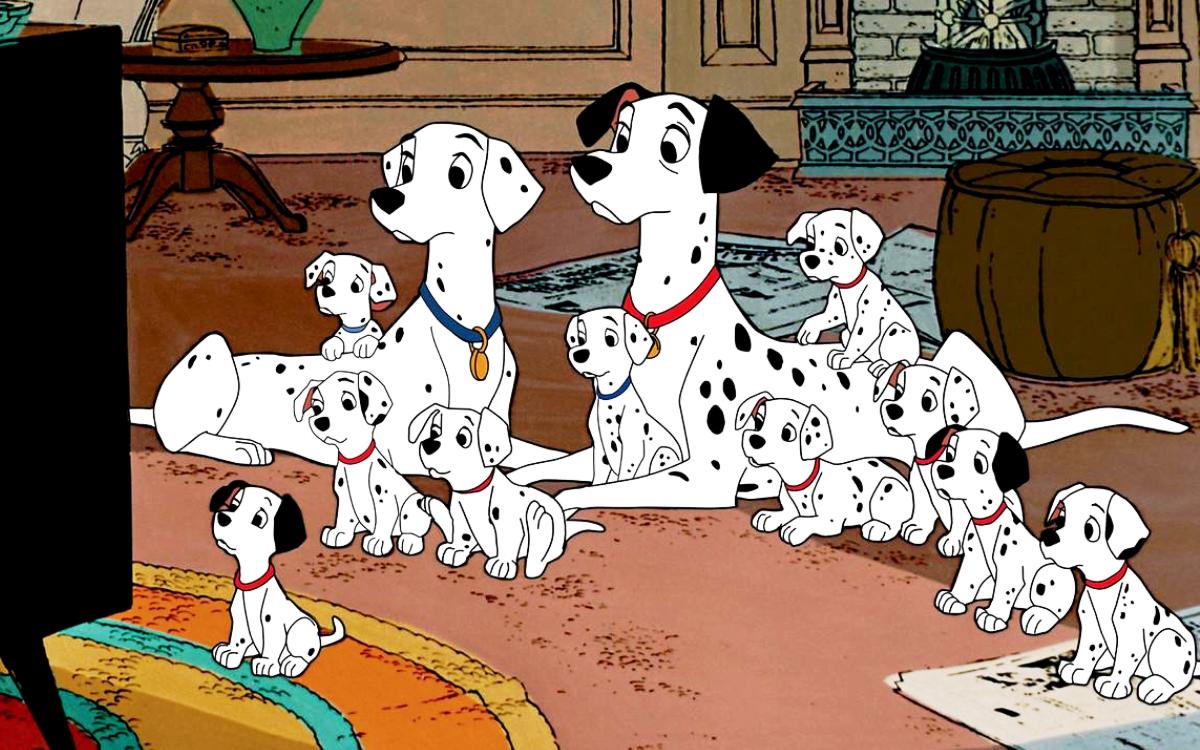 Dalmatian Wallpapers