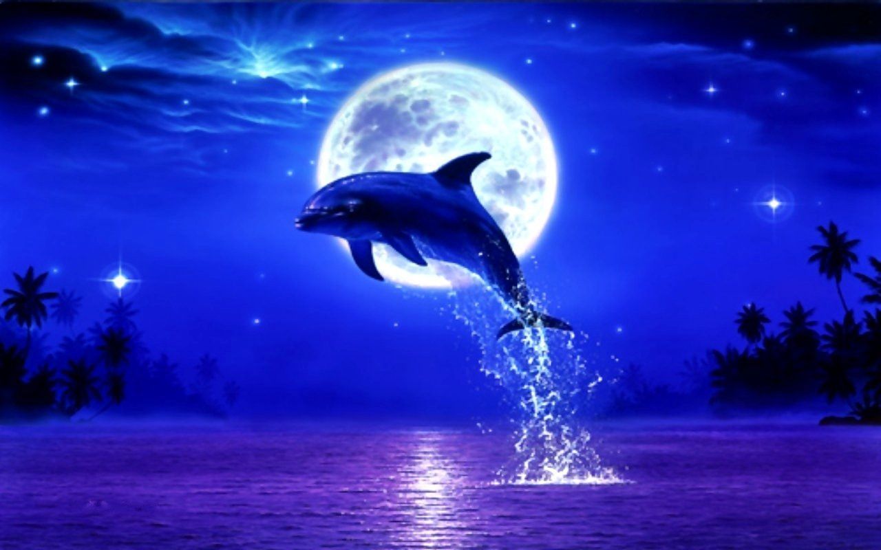 Dolphin Wallpapers