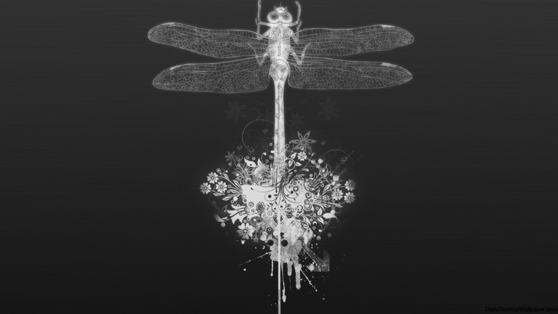 Dragonfly Wallpapers