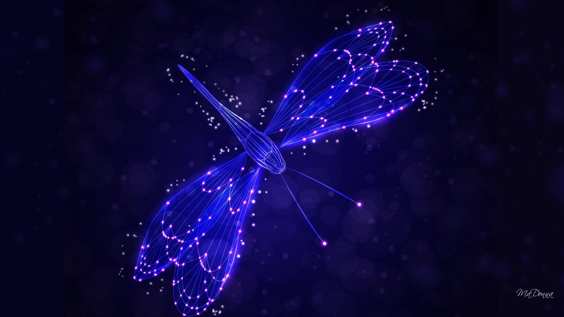 Dragonfly Wallpapers