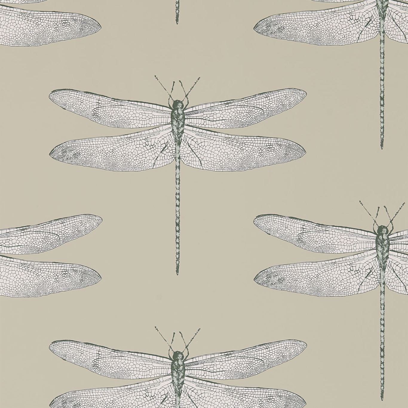 Dragonfly Wallpapers