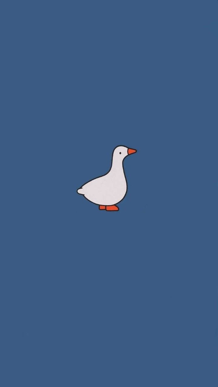 Duck Wallpapers