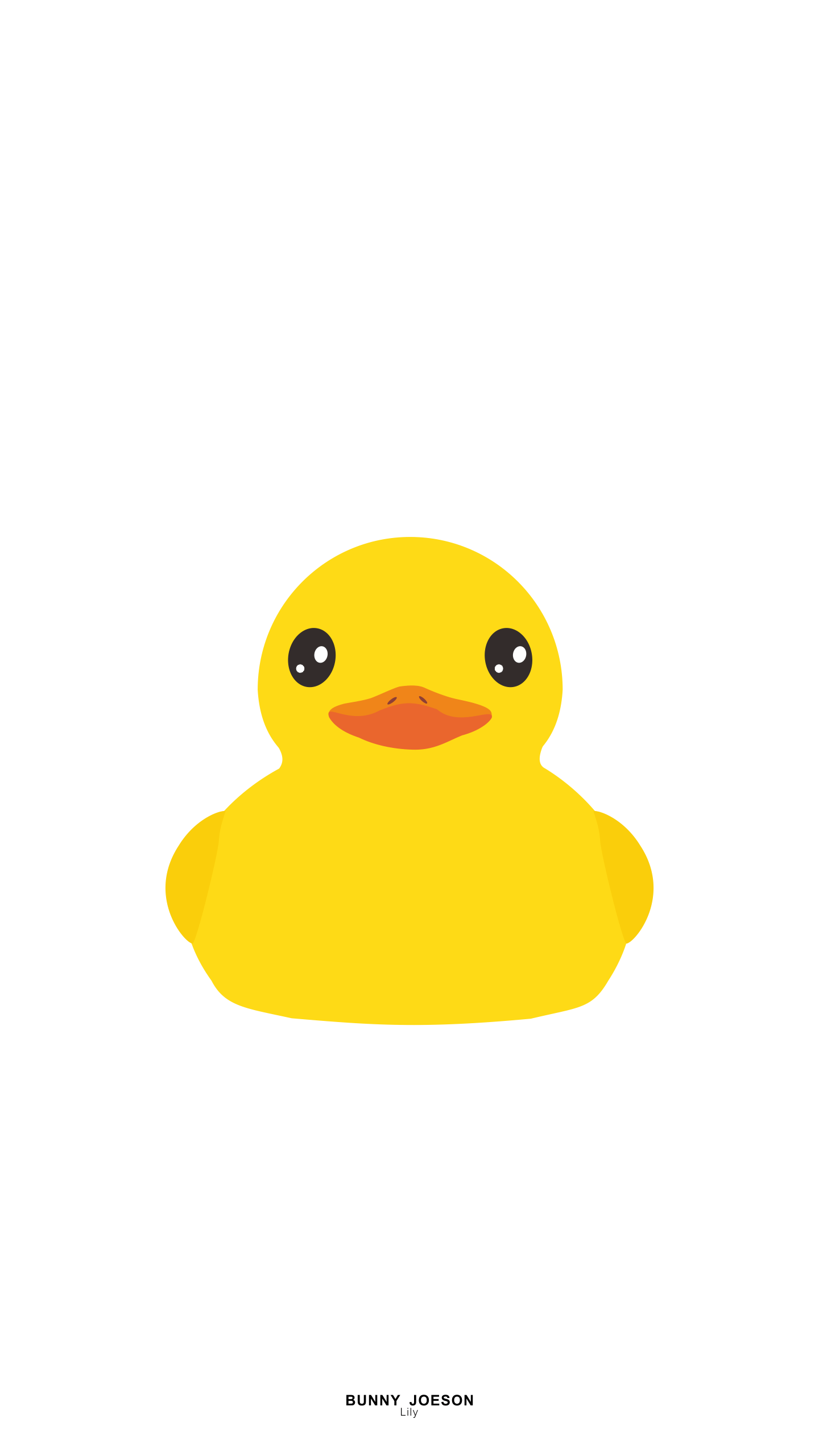 Duck Wallpapers