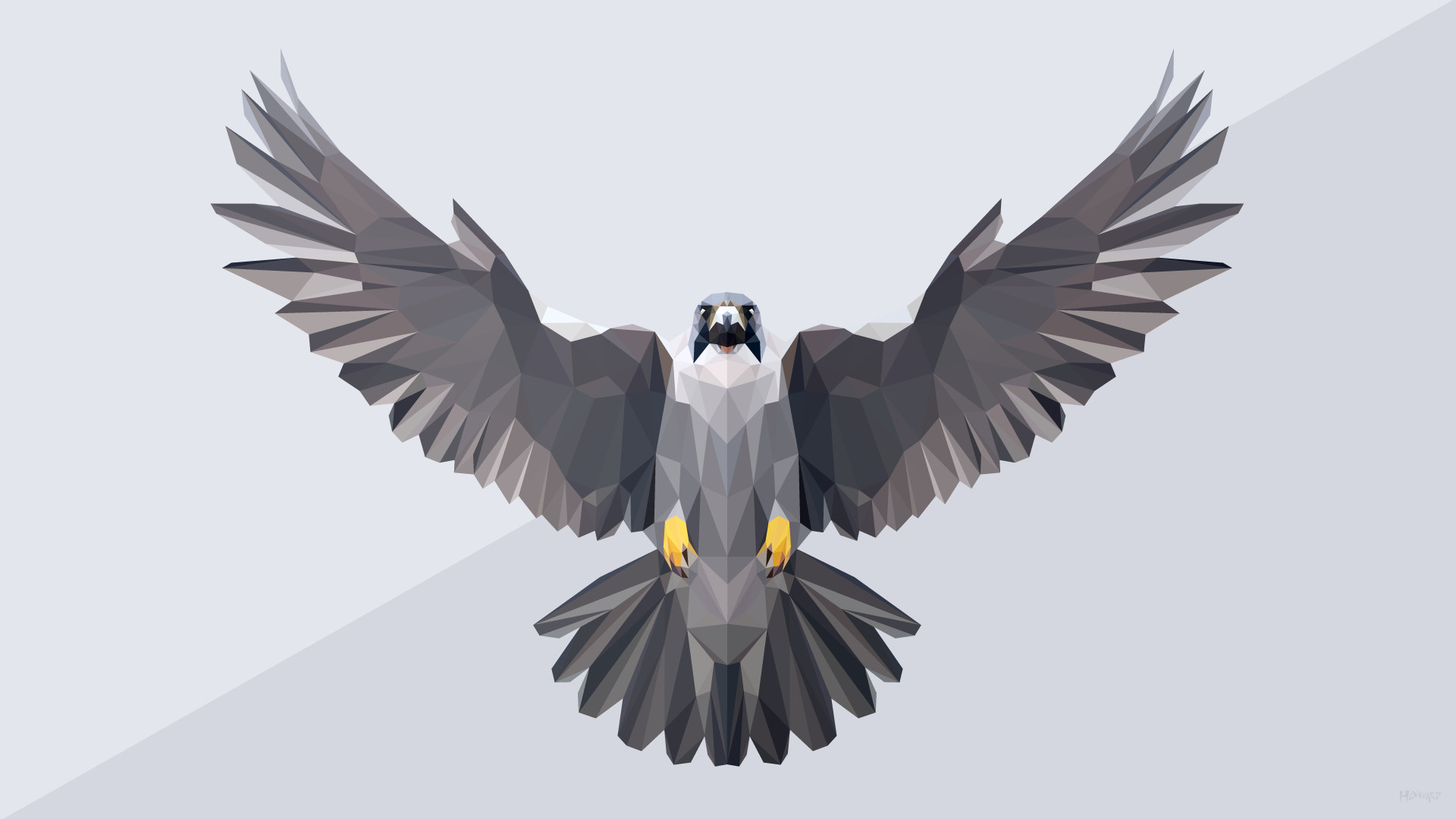 Falcon Wallpapers