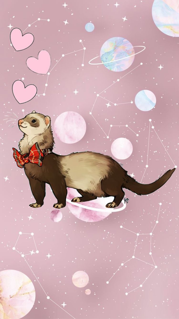 Ferret Wallpapers