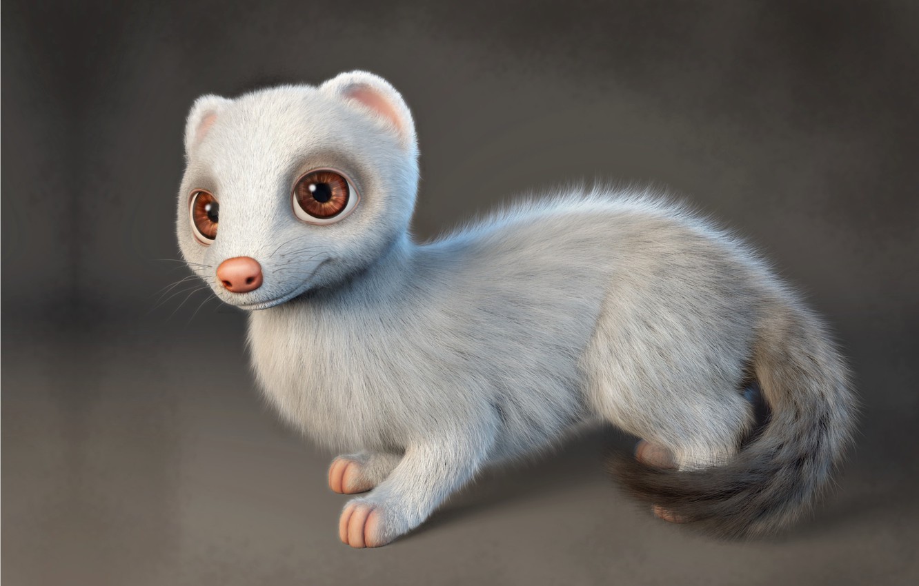 Ferret Wallpapers