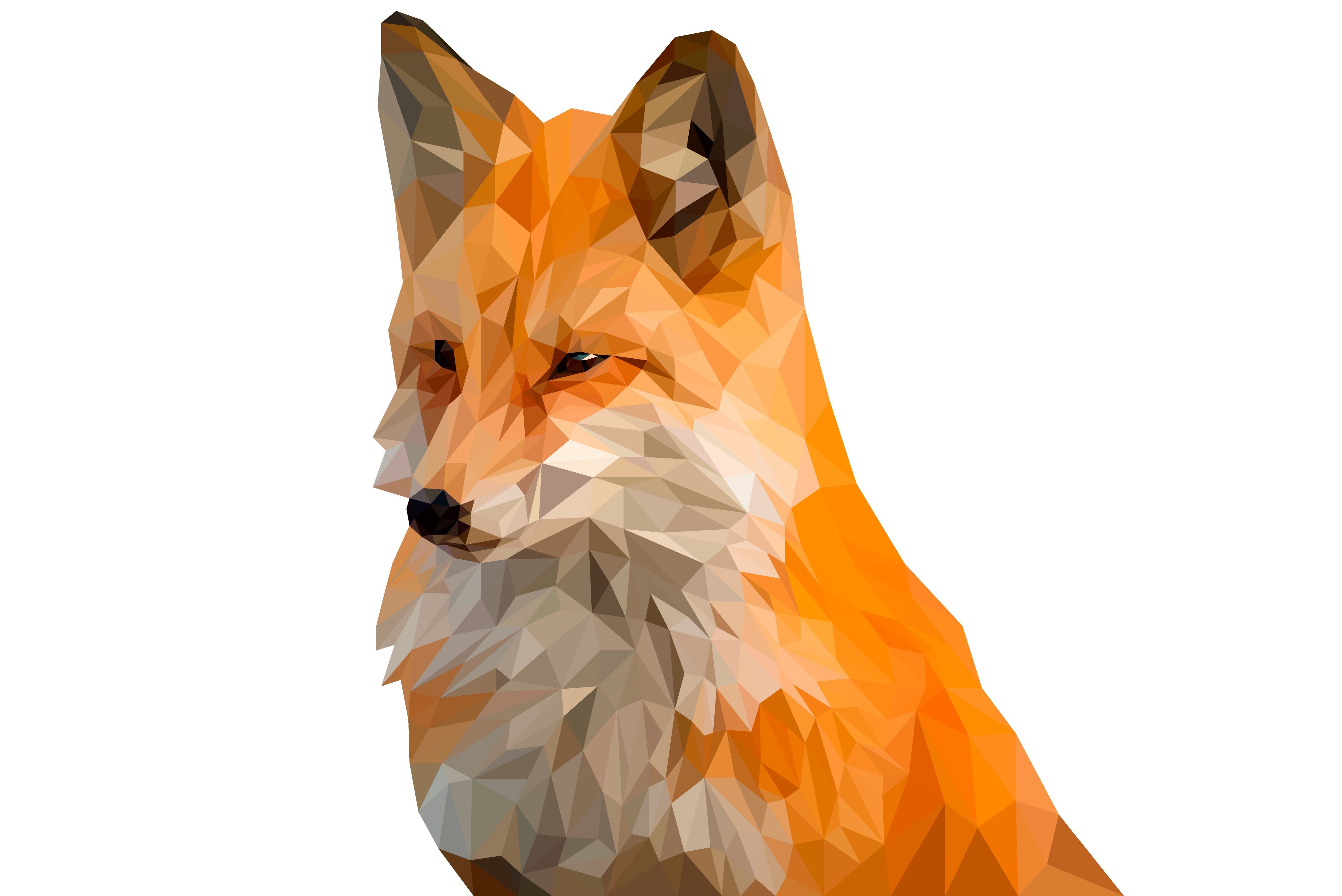 Fox Wallpapers