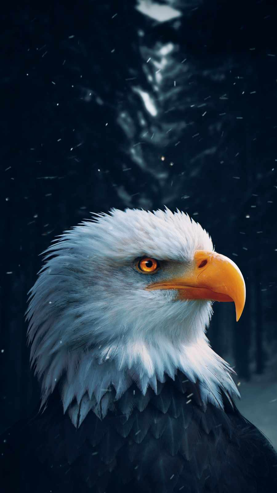 Golden Eagle Wallpapers