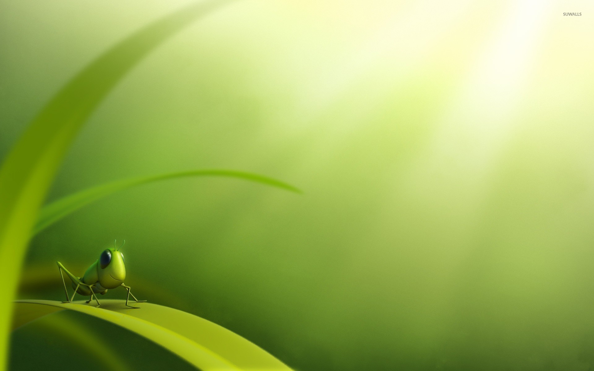 Grasshopper Wallpapers