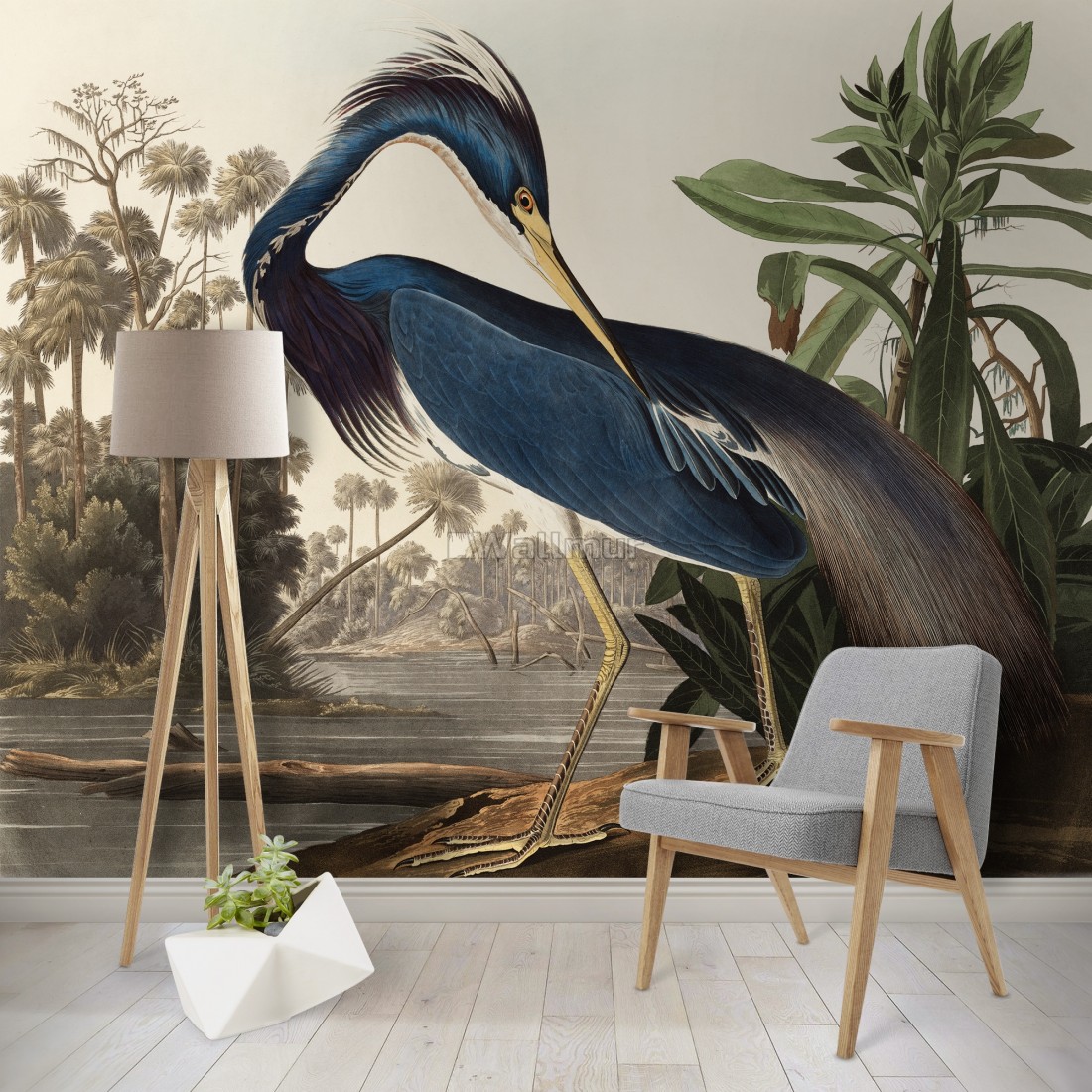 Great Blue Heron Wallpapers