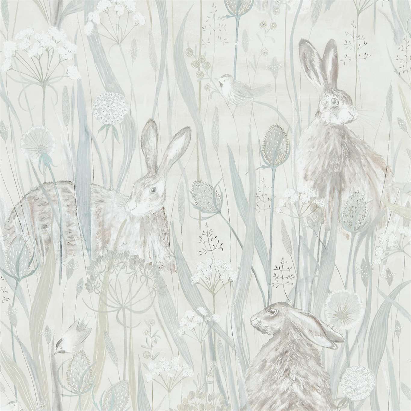 Hare Wallpapers