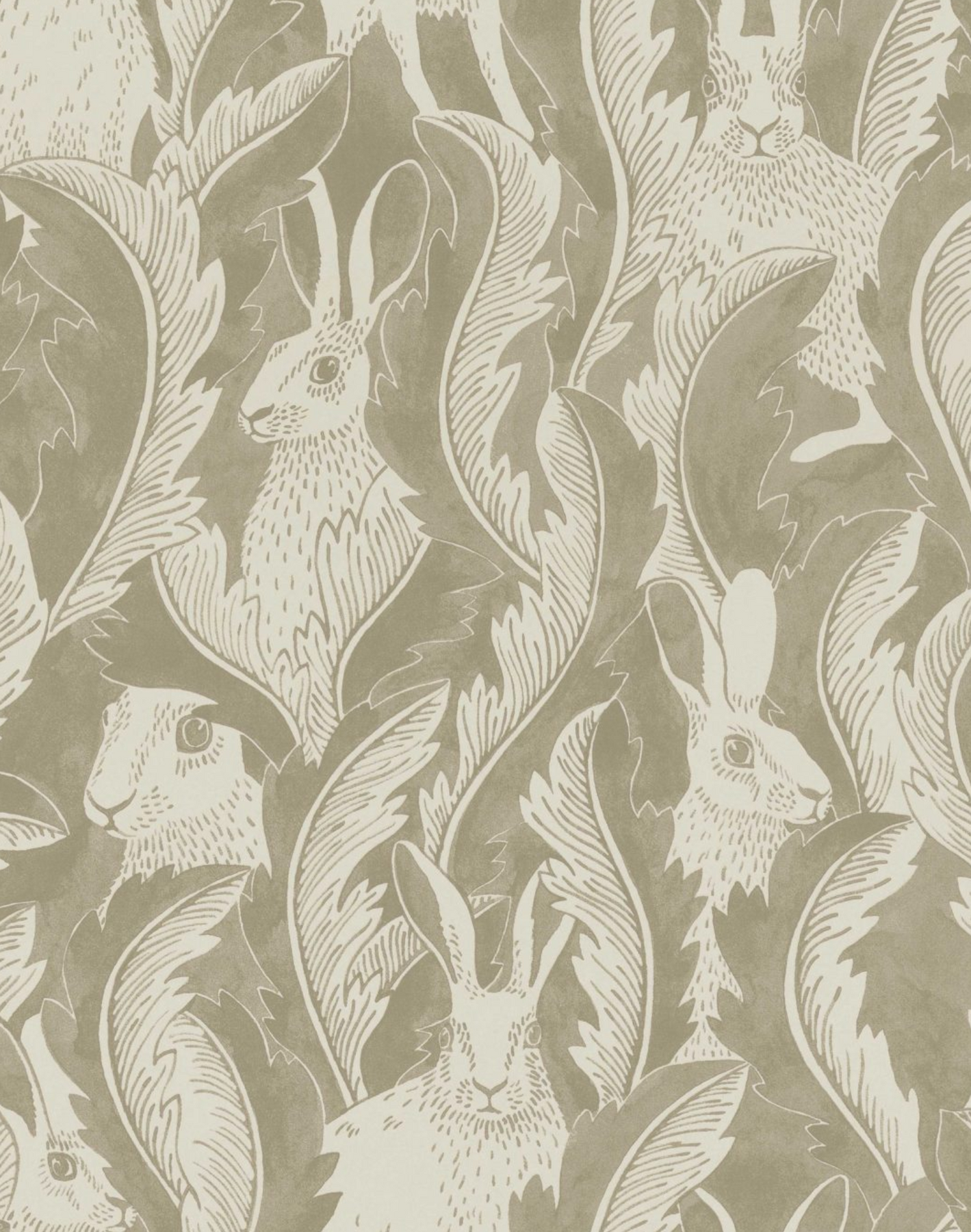 Hares Wallpapers