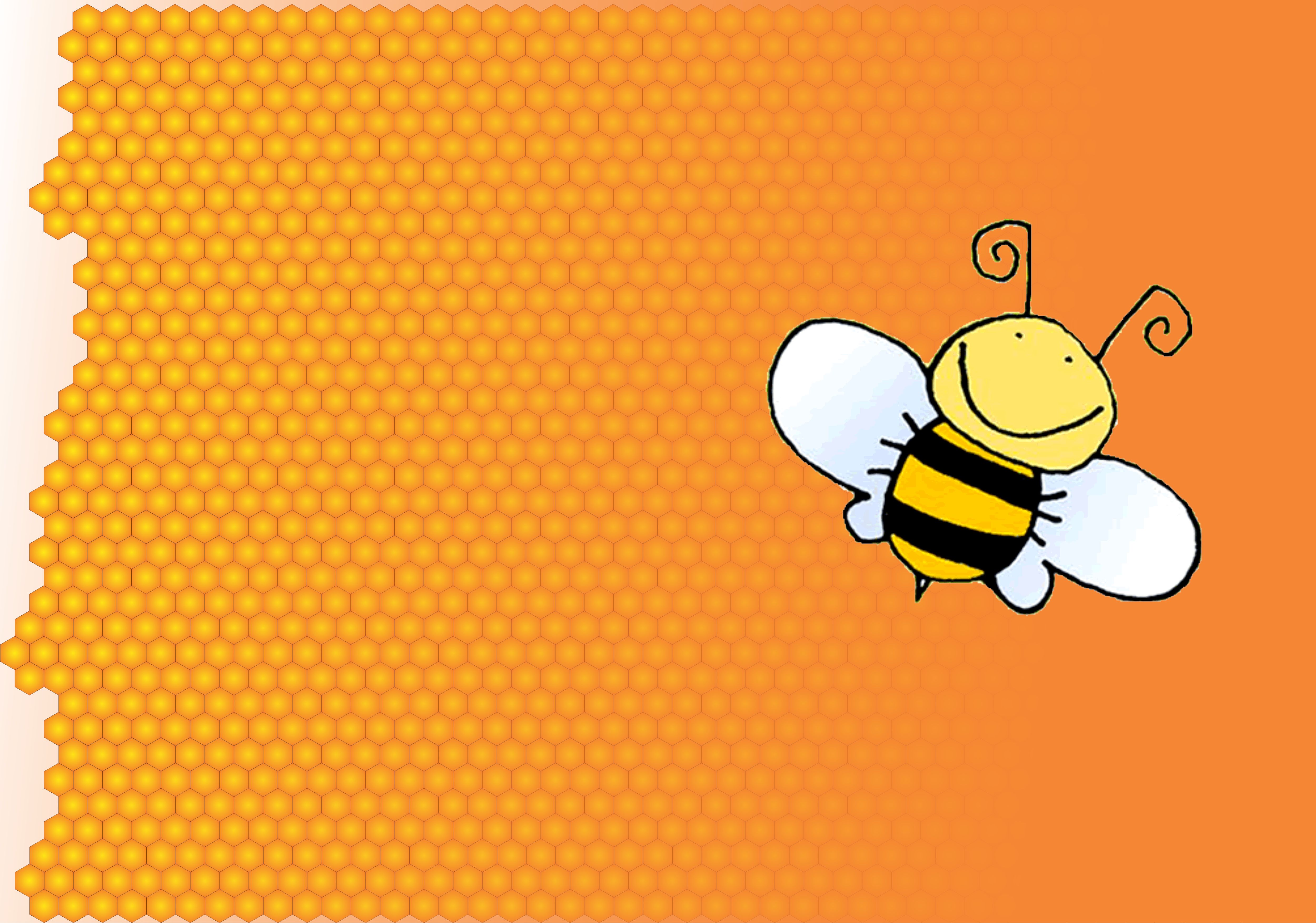 Honey Bee Wallpapers