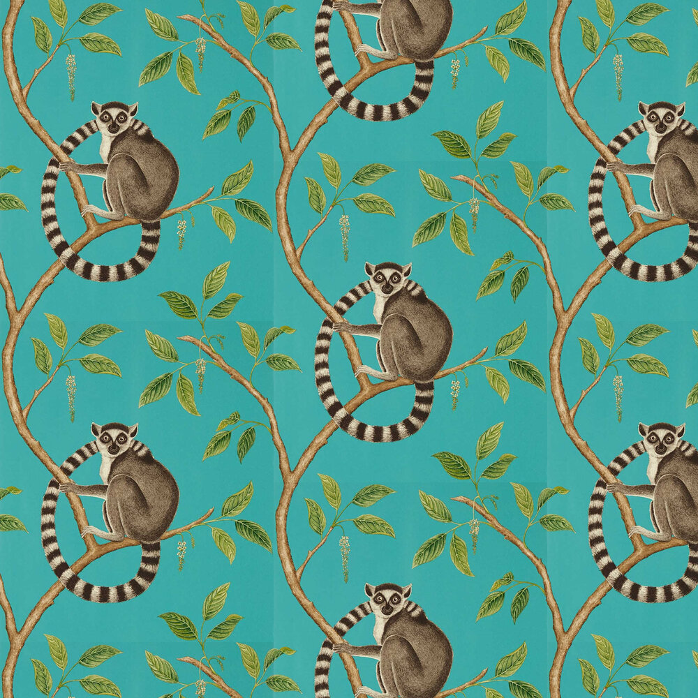 Lemur Wallpapers