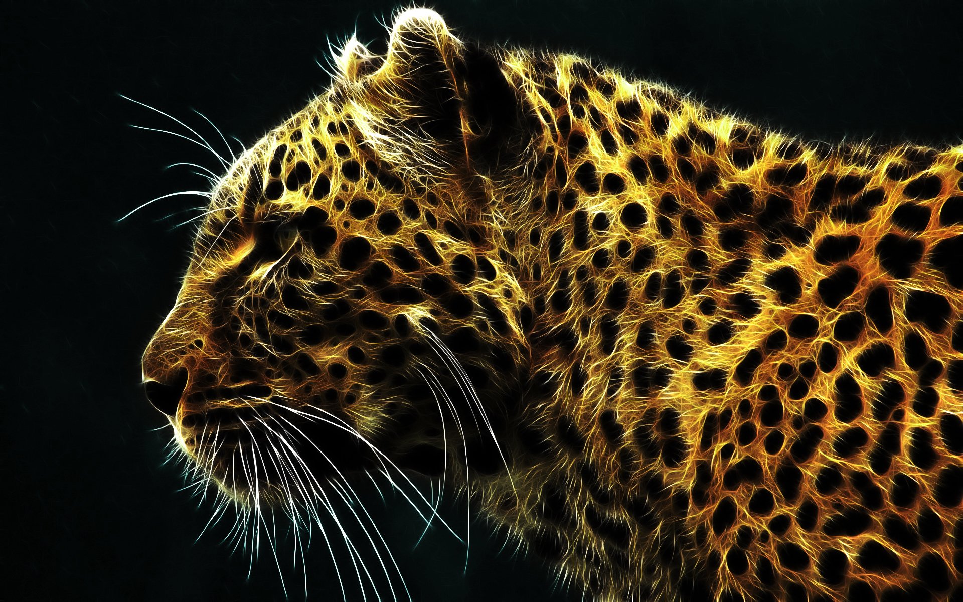 Leopard Wallpapers