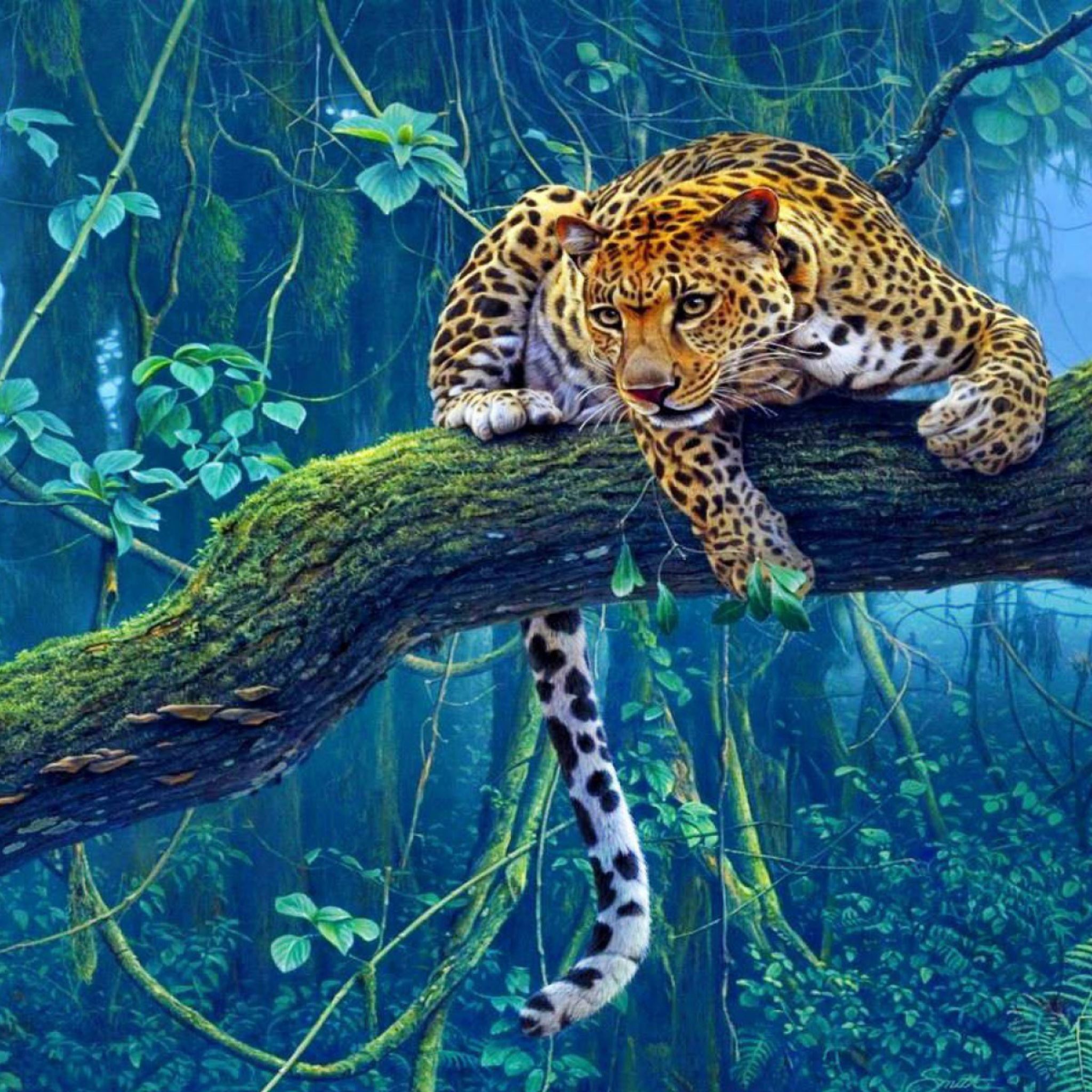 Leopard Wallpapers