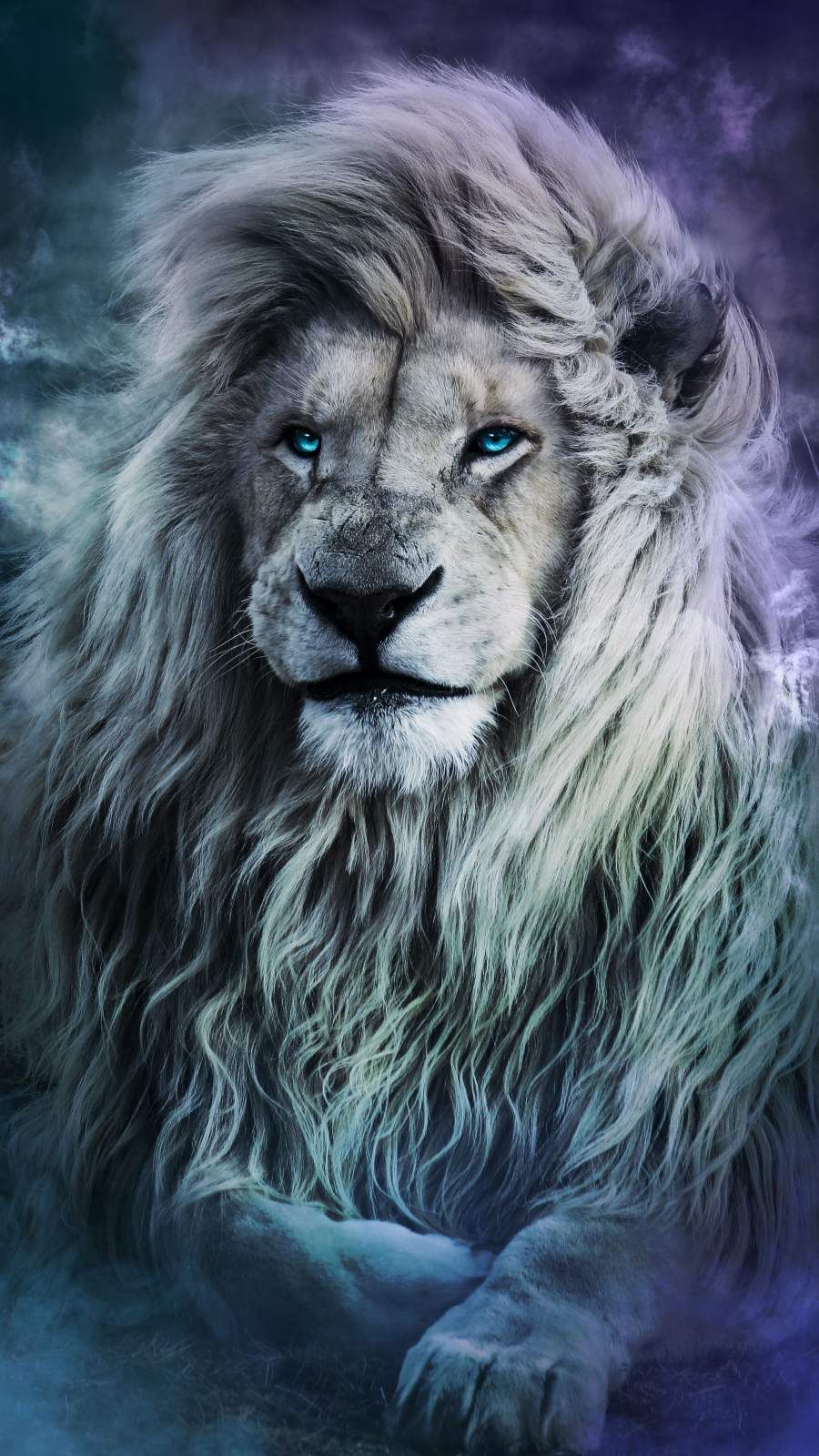 Lion Wallpapers