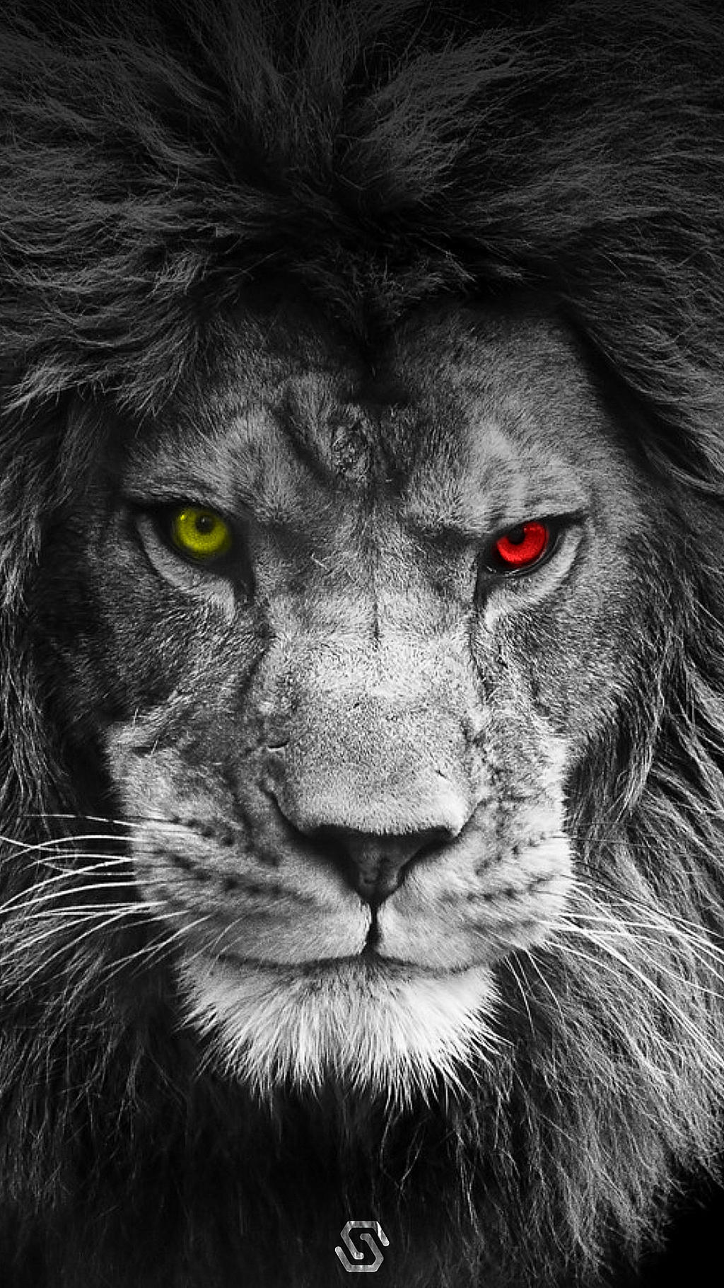 Lion Wallpapers